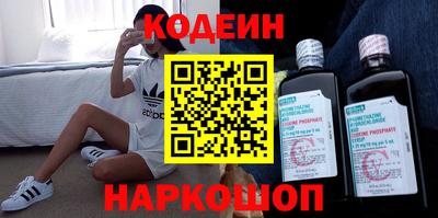 apvp Кингисепп